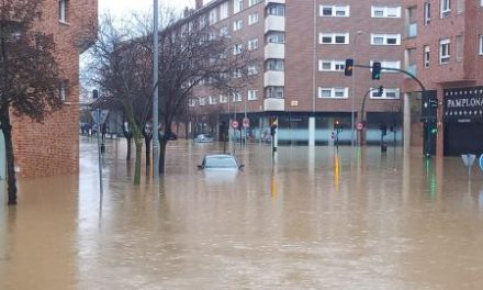 EL DESBORDAMIENTO DEL RÍO ARGA HACE SALTAR LAS ALARMAS