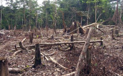 CAMBIO CLIMÁTICO