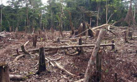 CAMBIO CLIMÁTICO