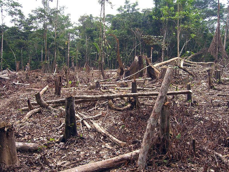 CAMBIO CLIMÁTICO