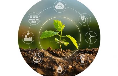LA CREACIÓN DE ENERGÍAS RENOVABLES A PARTIR DE UN BOSQUE